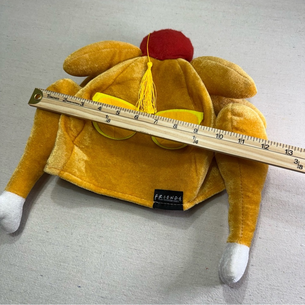 FRIENDS Monica Turkey Leg Hat w/ Sunglasses - Picture 14 of 15